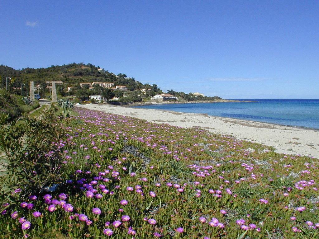 Residence Monte Marina Conca Dış mekan fotoğraf